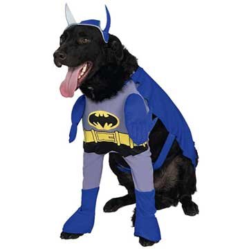Batman Brave and the Bold Costume